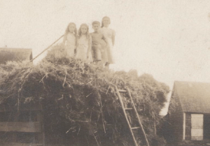 Screen Shot 2015-08-05 at 7.00.04 PM