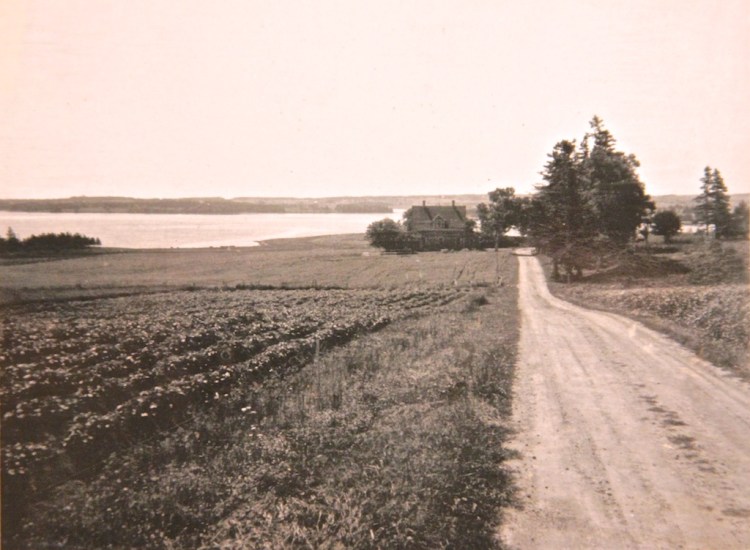 Hector Darrach Home (1)